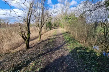 Scrub Clearance Scrub Clearance