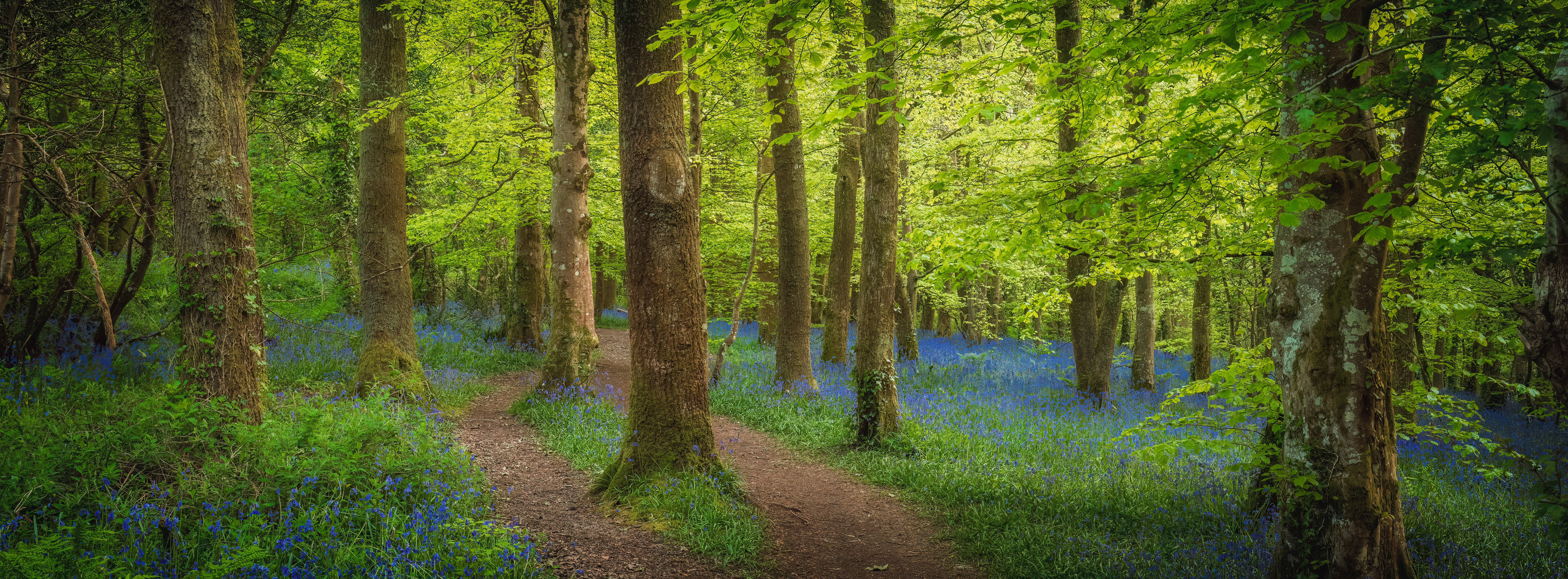 Biodiversity Net Gain