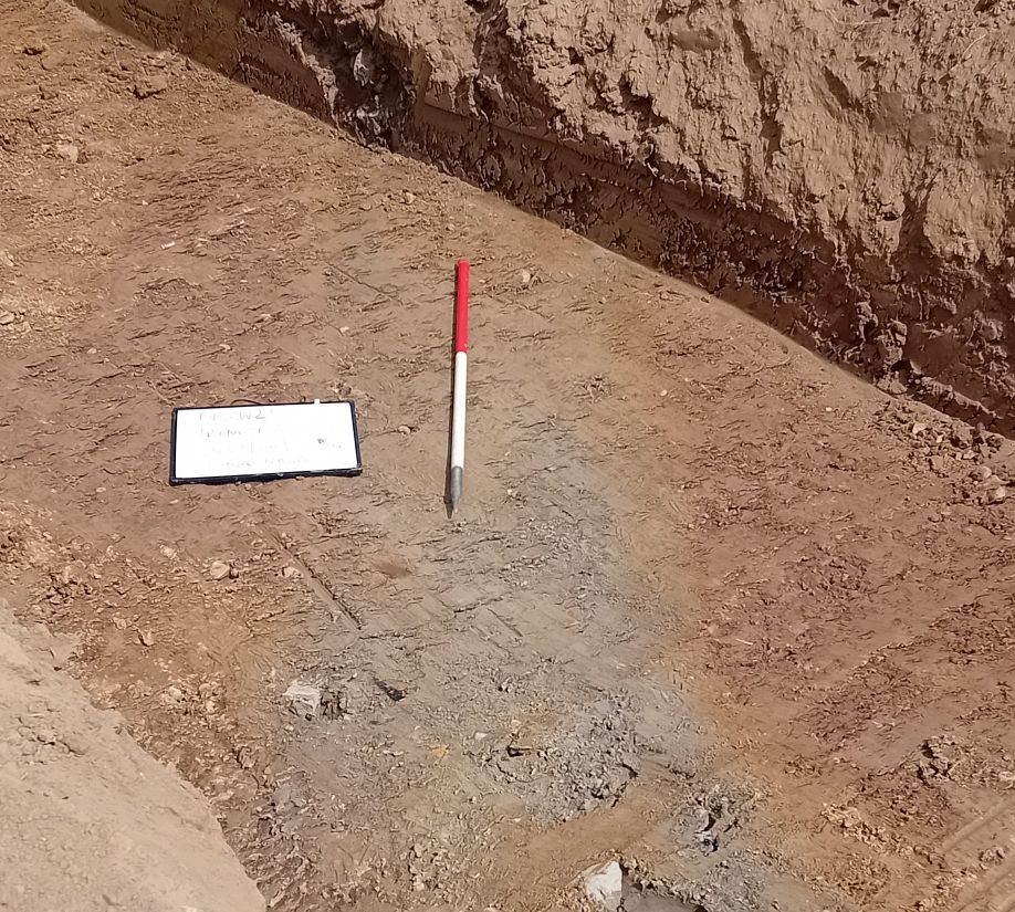 Archaeology Services