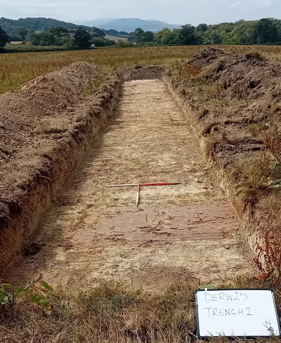 Archaeology Services