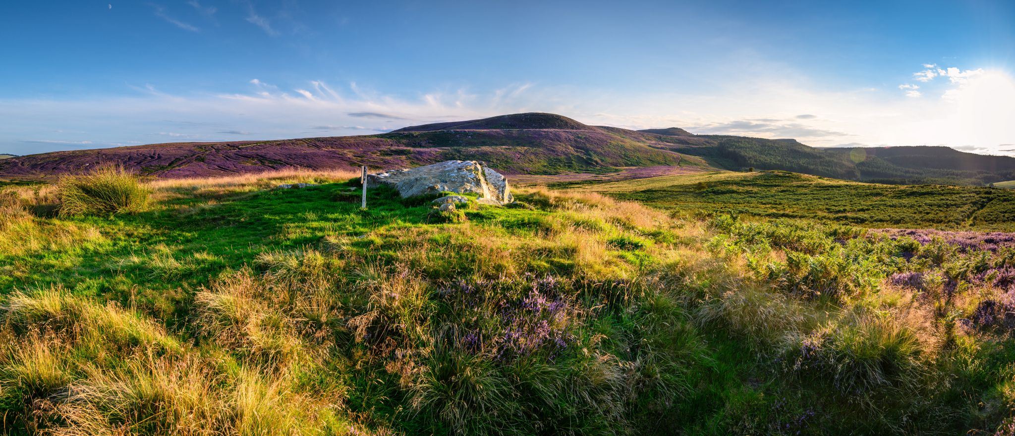 Archaeology and Heritage Services