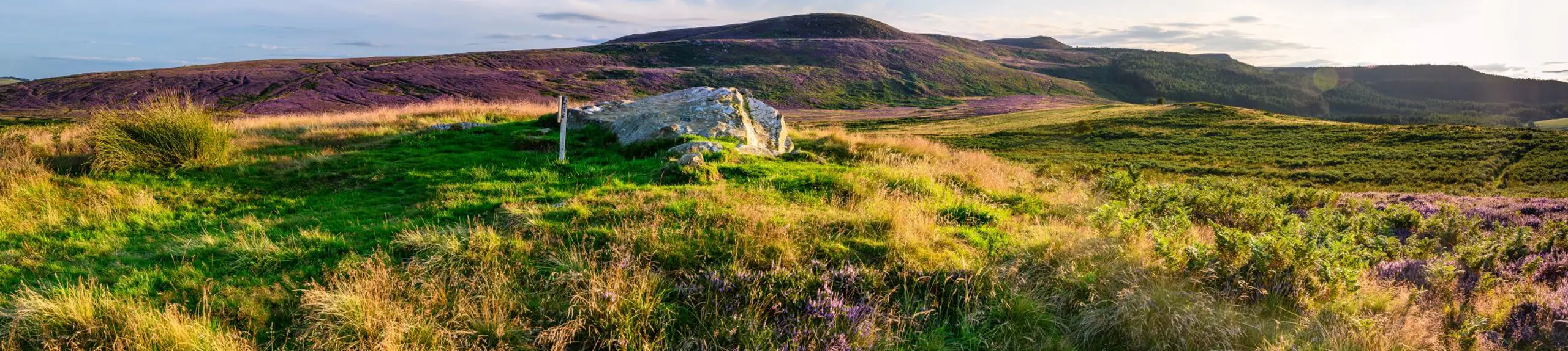 Archaeology and Heritage Services Archaeology and Heritage Services